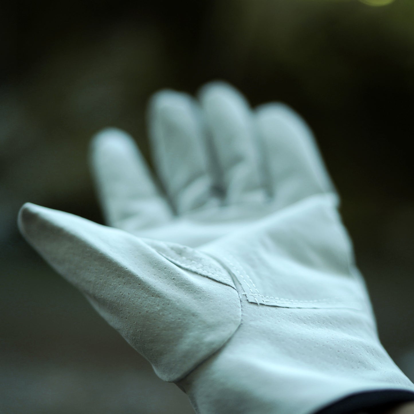 AVANT GARDE CAMP GLOVES RESISTANT
