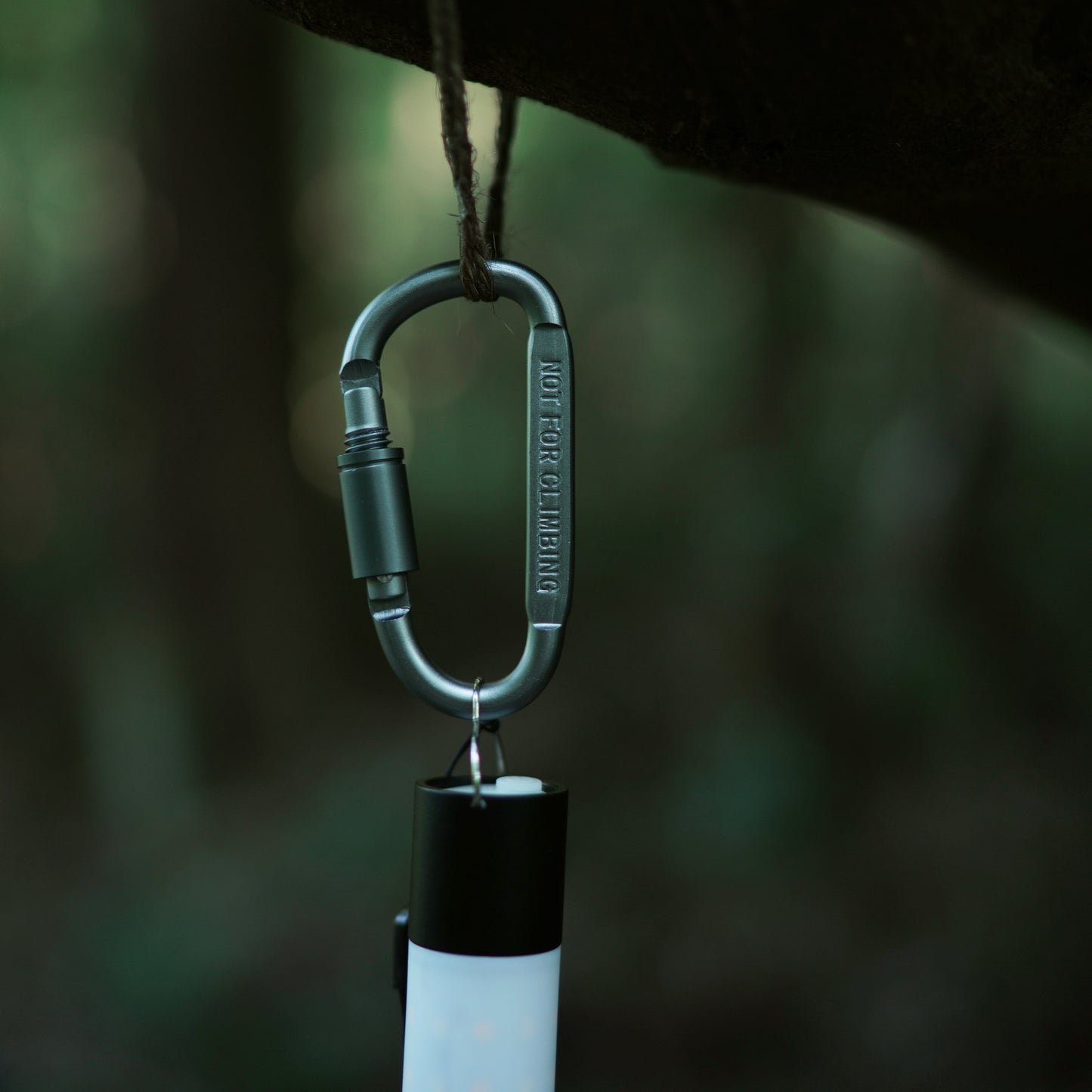 D-SHAPED LOCKING CARABINER
