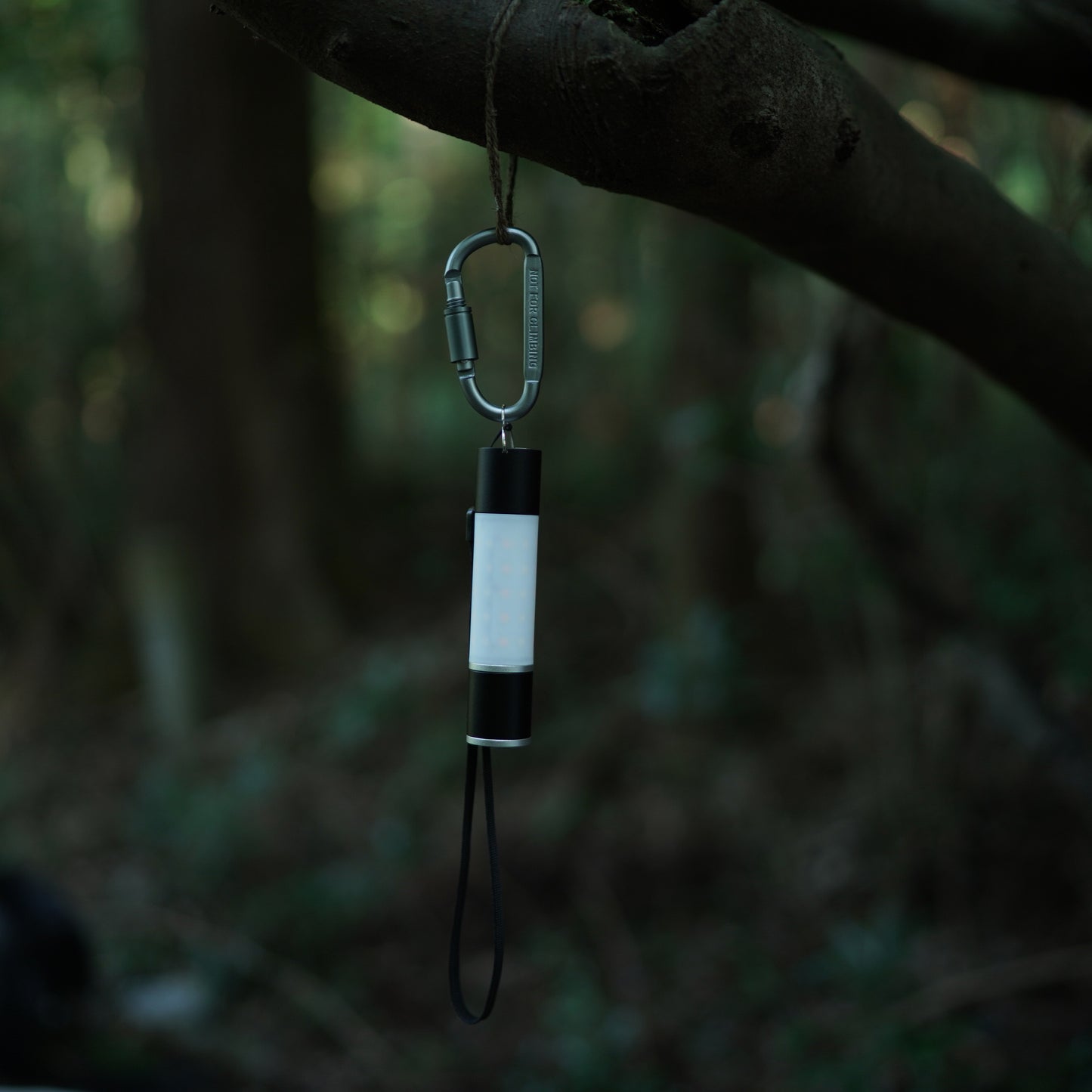 D-SHAPED LOCKING CARABINER