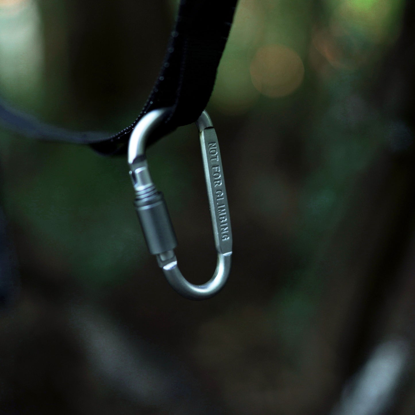 D-SHAPED LOCKING CARABINER