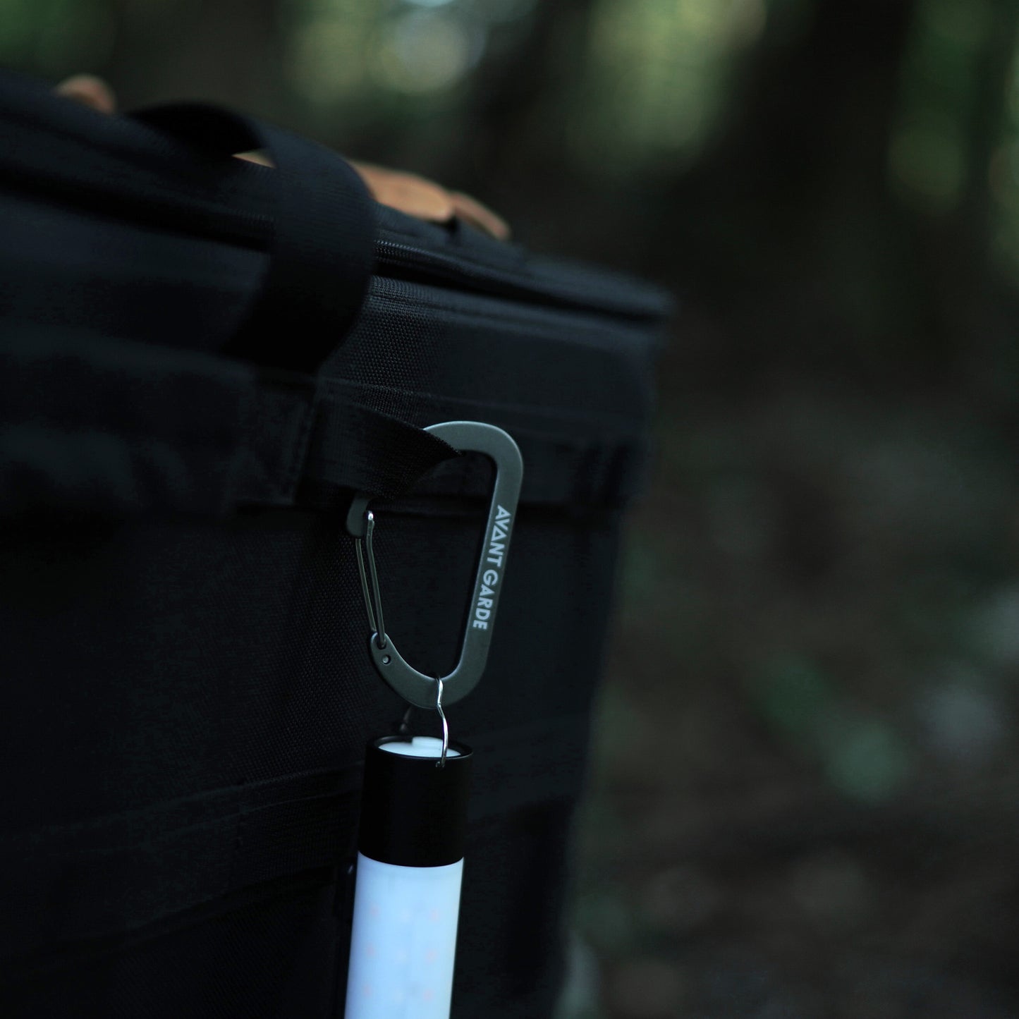 D-SHAPED CARABINER