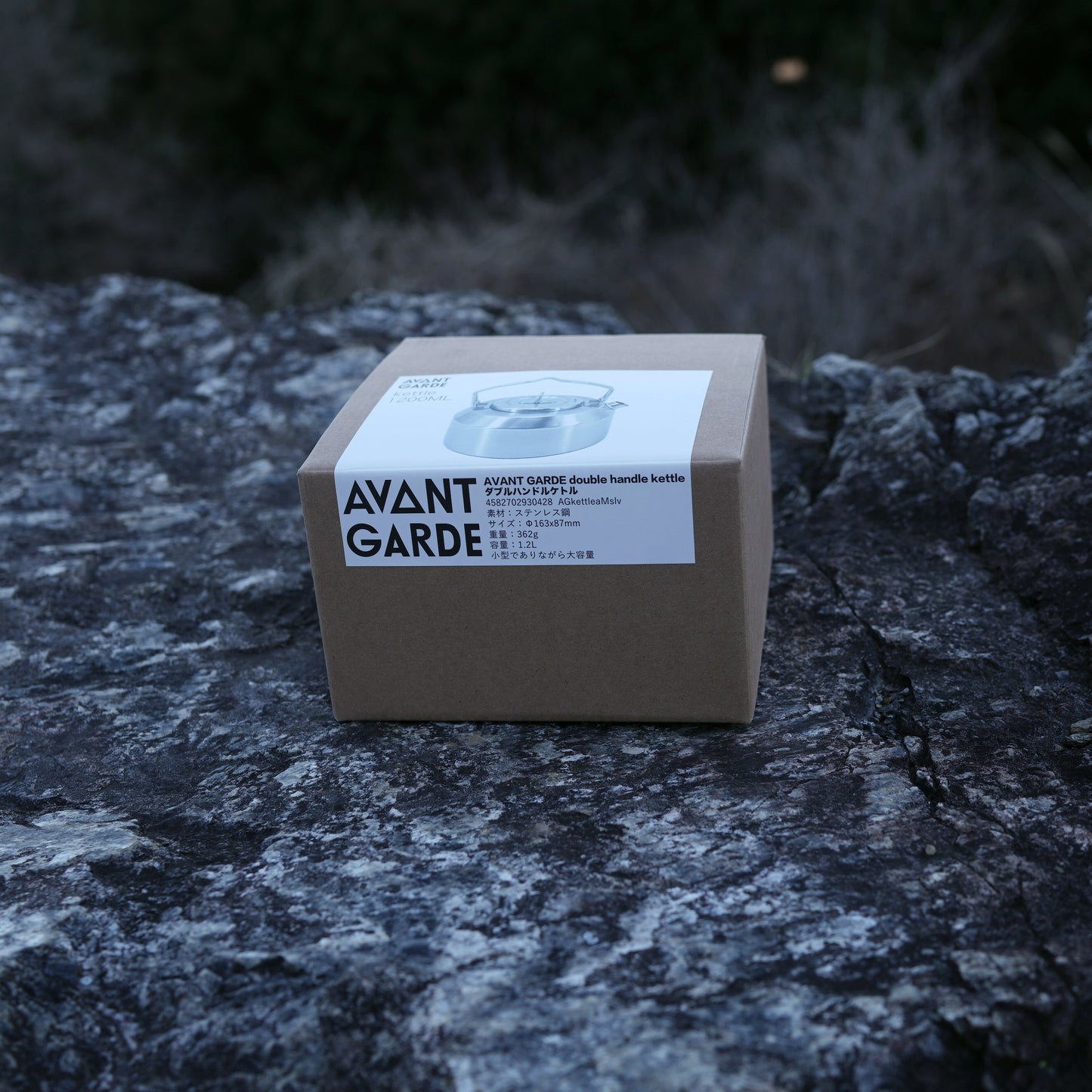 AVANT GARDE double handle kettle