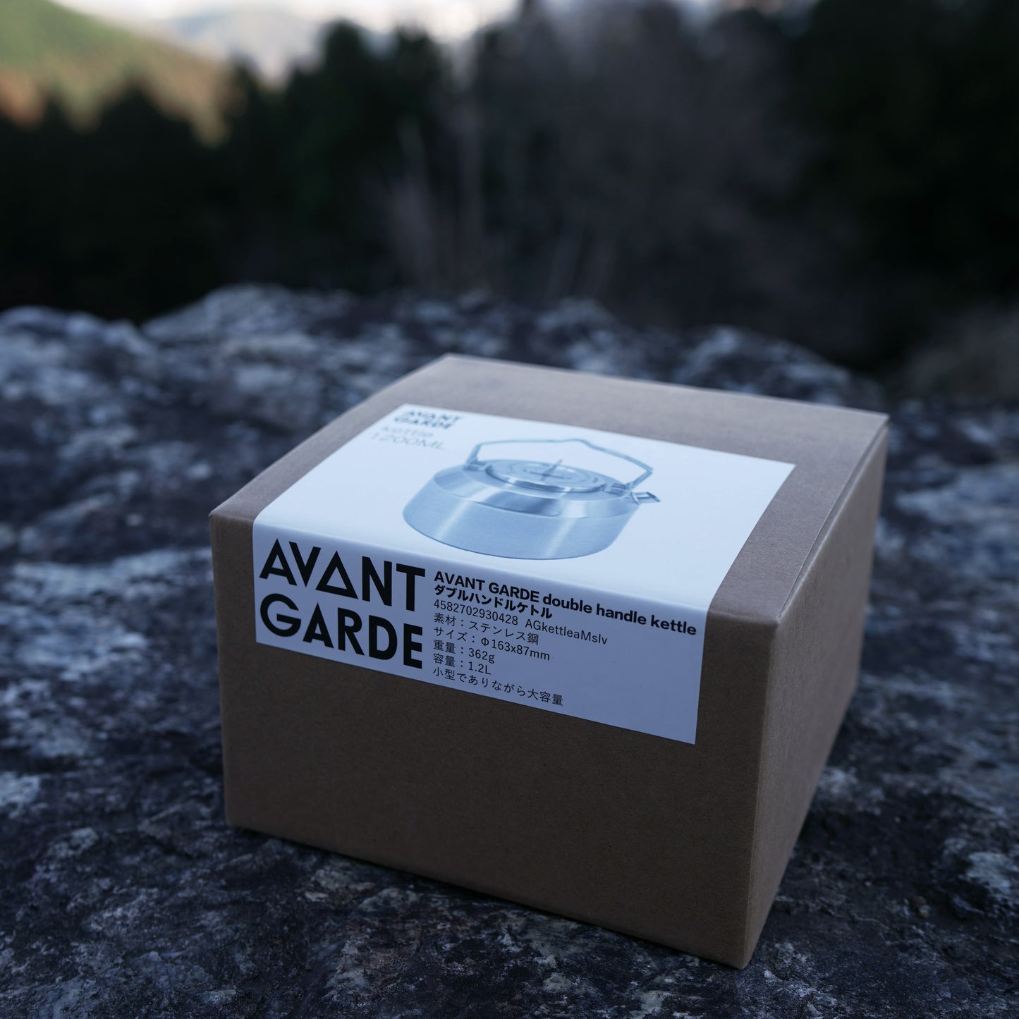 AVANT GARDE double handle kettle