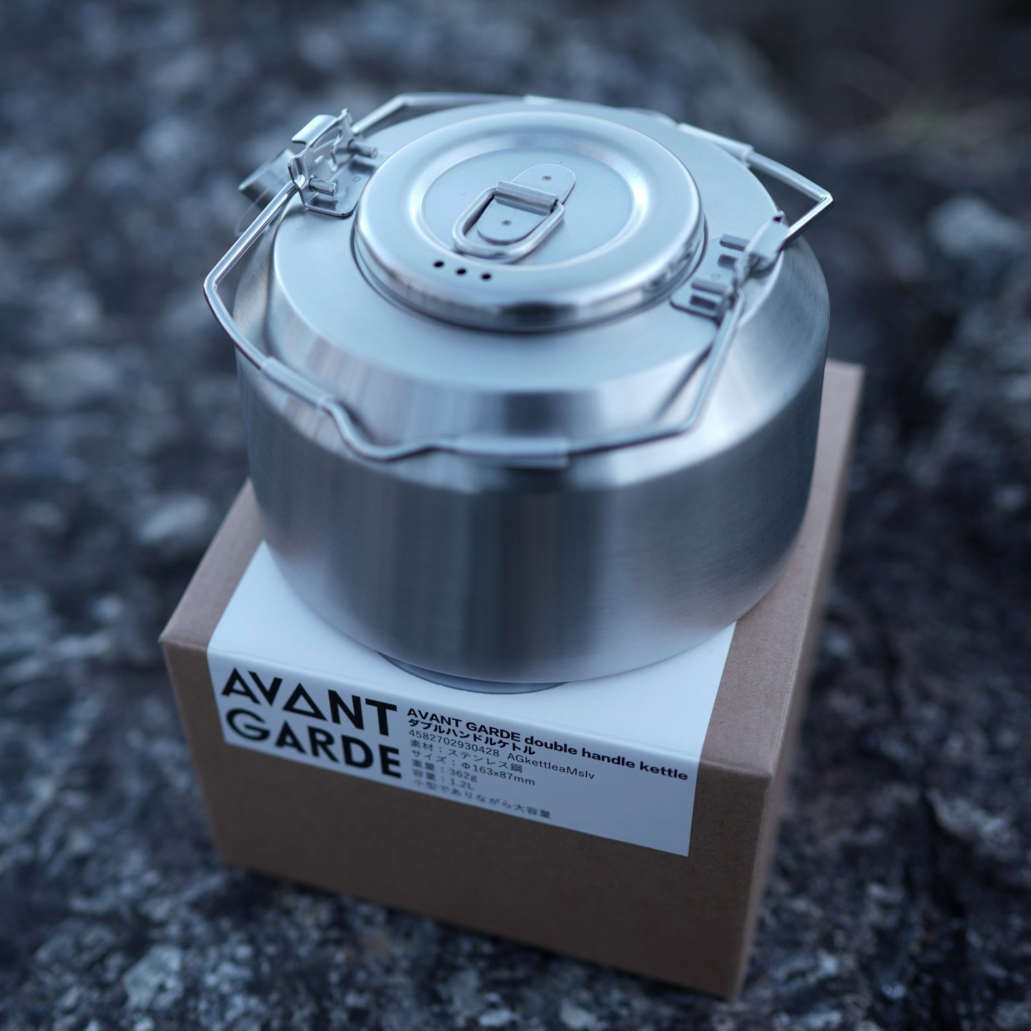 AVANT GARDE double handle kettle