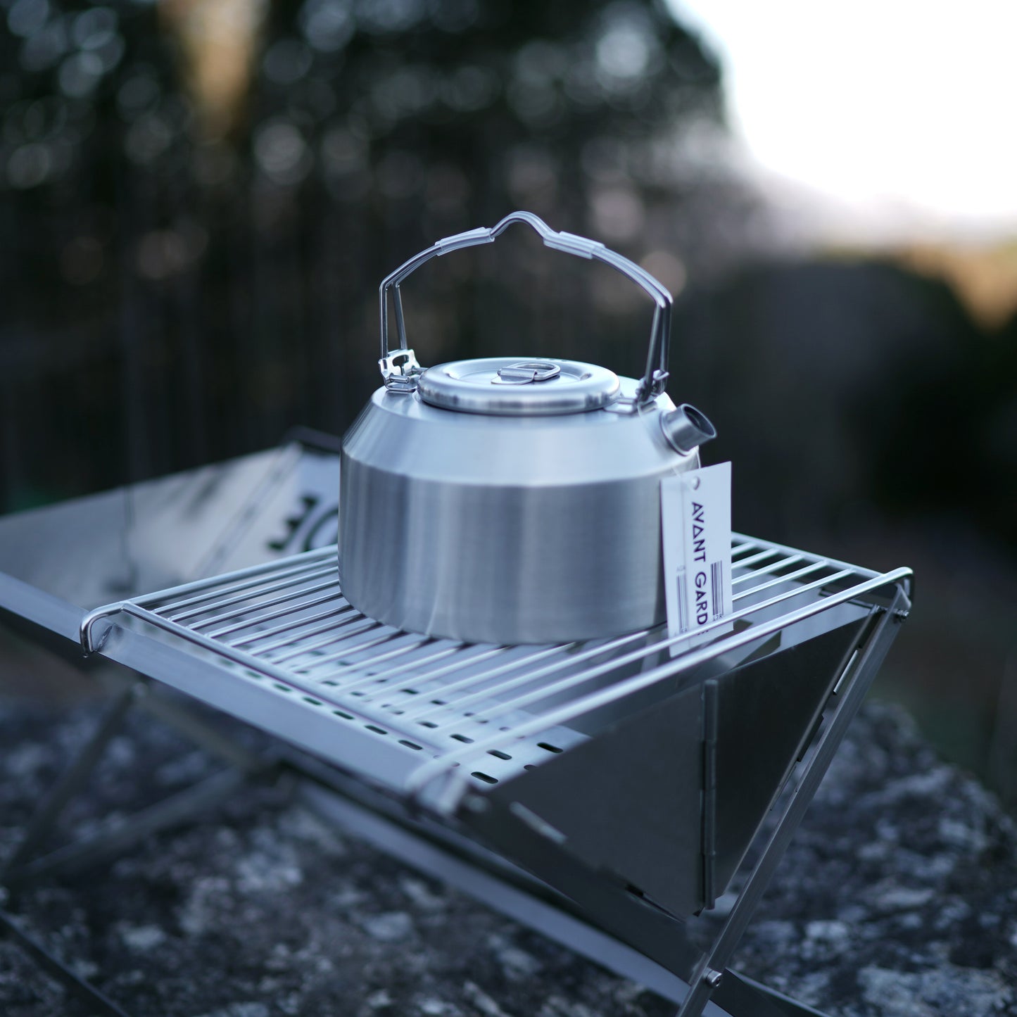 AVANT GARDE double handle kettle