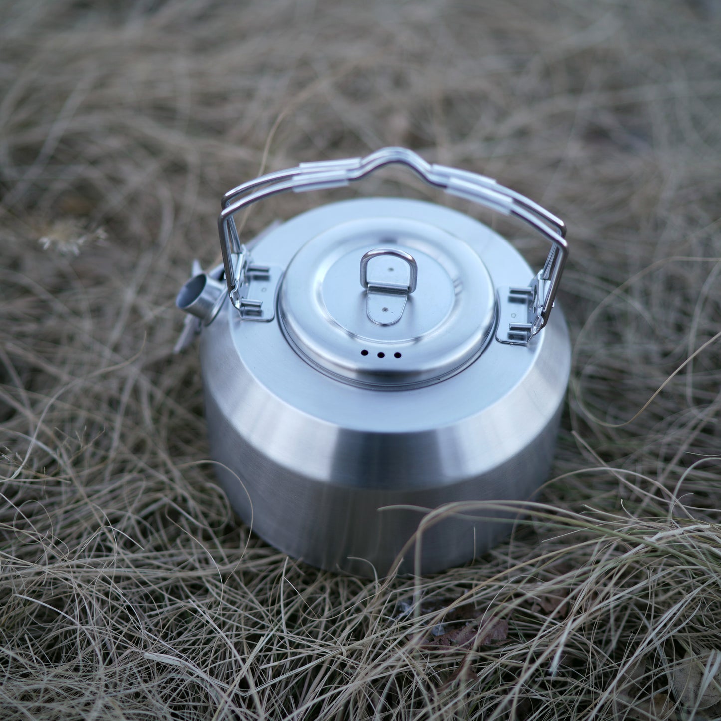 AVANT GARDE double handle kettle